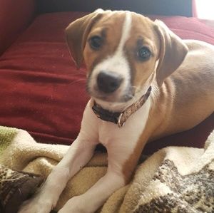 Meet your Posher, Nickoma